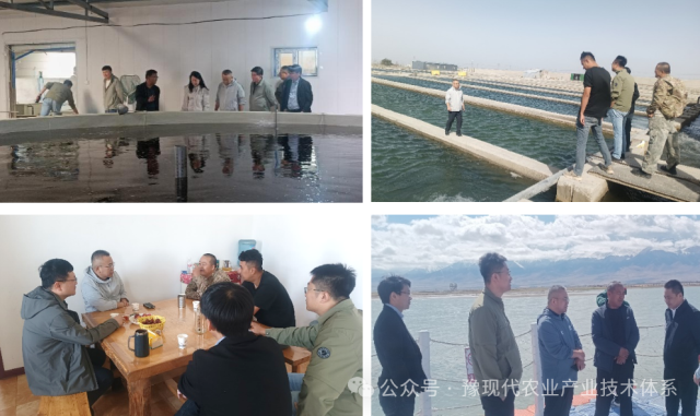 微信图片_20250909081942.png