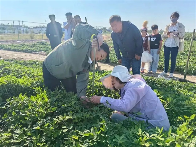 1757982590200879.jpg 微信图片_20250916082420.jpg