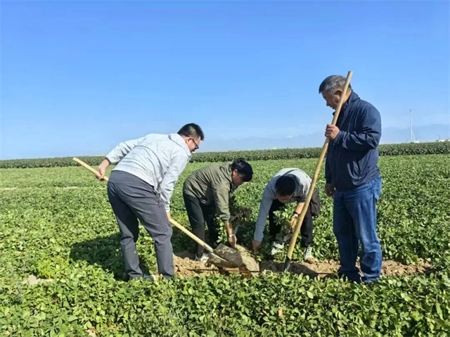 1757982603245103.jpg 微信图片_20250916082422.jpg