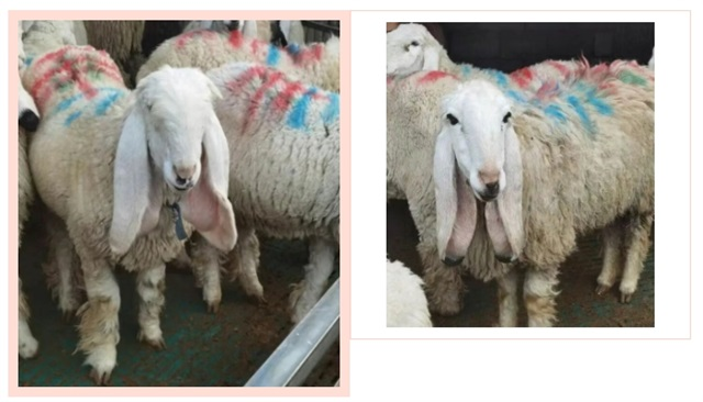 1760401378617904.png 微信截图_20251014081654.png