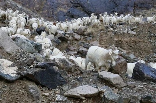 1762216710482298.jpg 微信图片_2025-11-04_082046_824.jpg