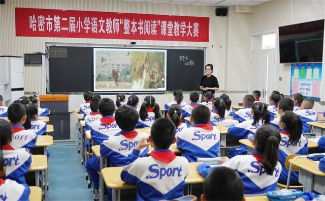 微信图片_2026-05-13_083300_272.jpg