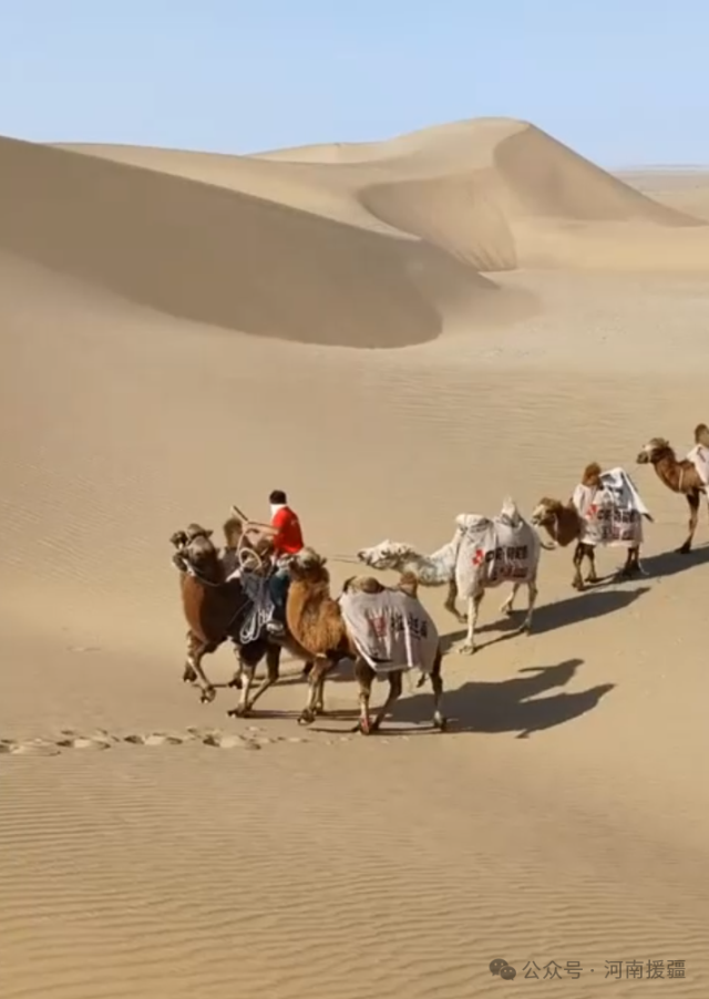 1761437824323236.png 微信图片_2025-10-26_080125_723.png