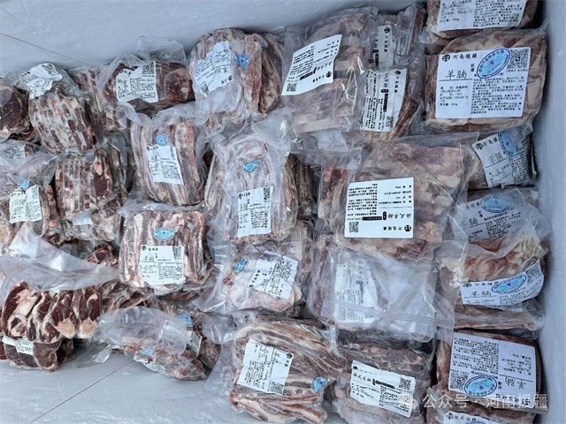 1769992680119609.jpg 微信图片_2026-02-02_082535_506.jpg