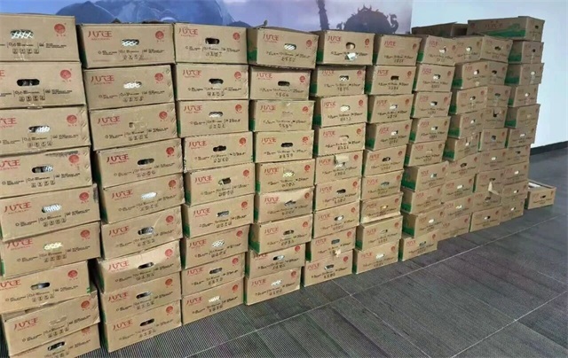 微信图片_2025-10-06_085950_539.jpg
