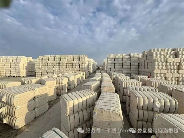 1769560909356574.jpg 微信图片_2026-01-28_082714_582.jpg