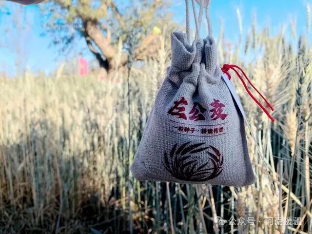 1764290096232990.jpg 微信图片_2025-11-28_083128_238.jpg