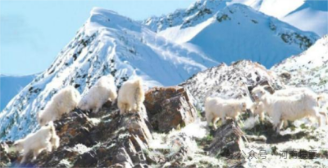 1767055400121923.png 微信图片_2025-12-30_083926_693.png