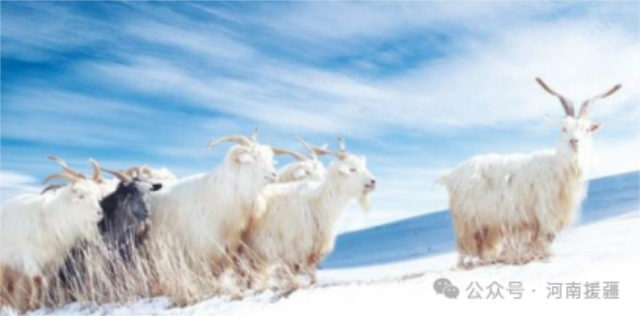 1767055407145905.png 微信图片_2025-12-30_083955_716.png