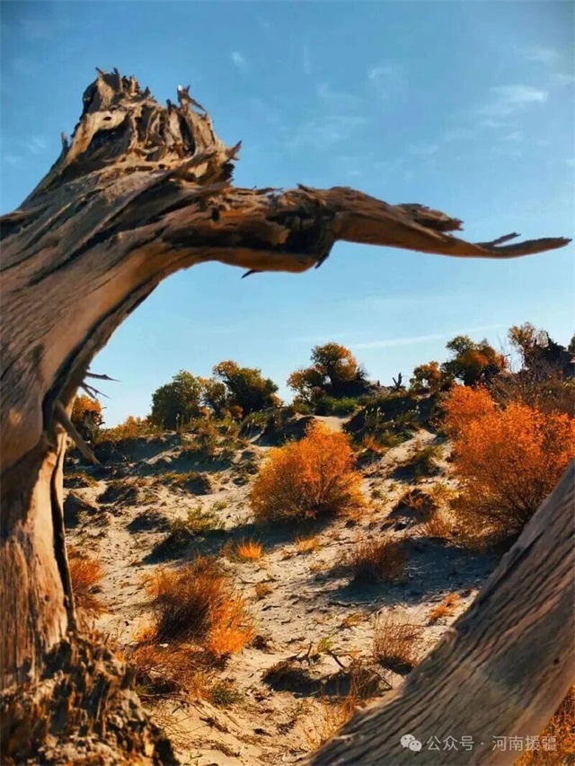 1768696408541689.jpg 微信图片_2026-01-18_082322_222.jpg