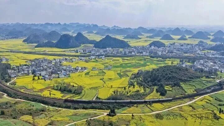 1772411852524903.jpg 微信图片_2026-03-02_083218_449.jpg