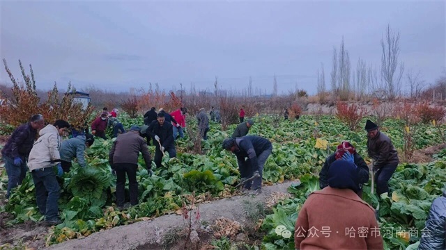 1764031814231516.jpg 微信图片_2025-11-25_084053_765.jpg