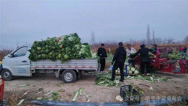 1764031823643371.jpg 微信图片_2025-11-25_084056_964.jpg