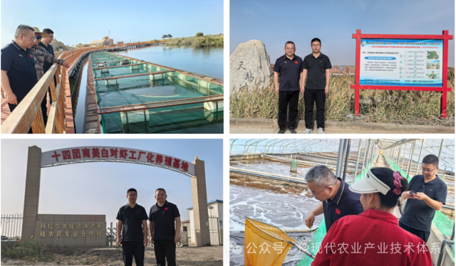 1760143024389325.png 微信图片_20251011082742.png