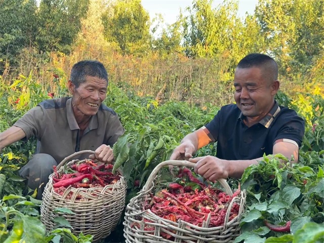 1760575370754968.jpg 微信图片_20251016082250.jpg