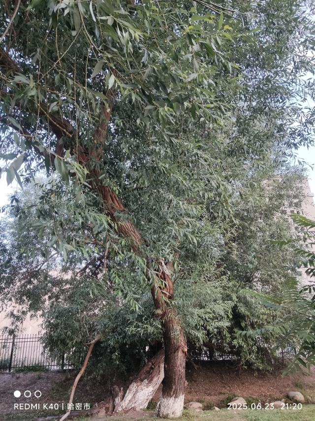 微信图片_20250716110230.png