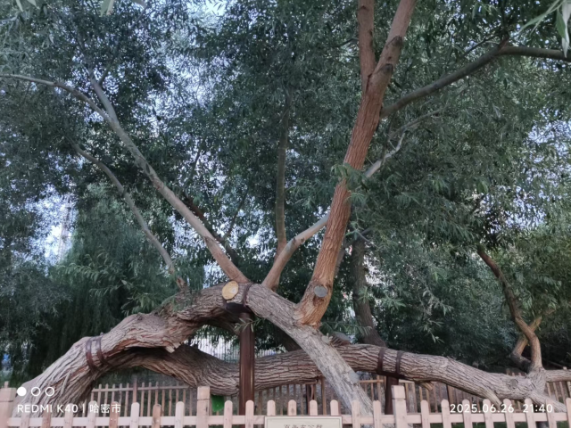 微信图片_20250716110236.png