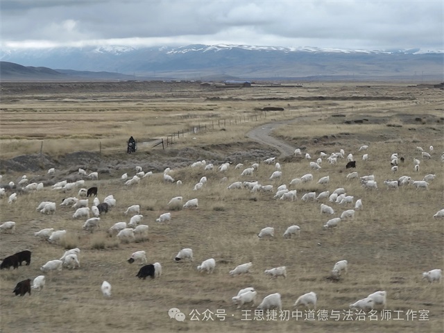 1759796027804539.jpg 微信图片_2025-10-07_080612_756.JPG