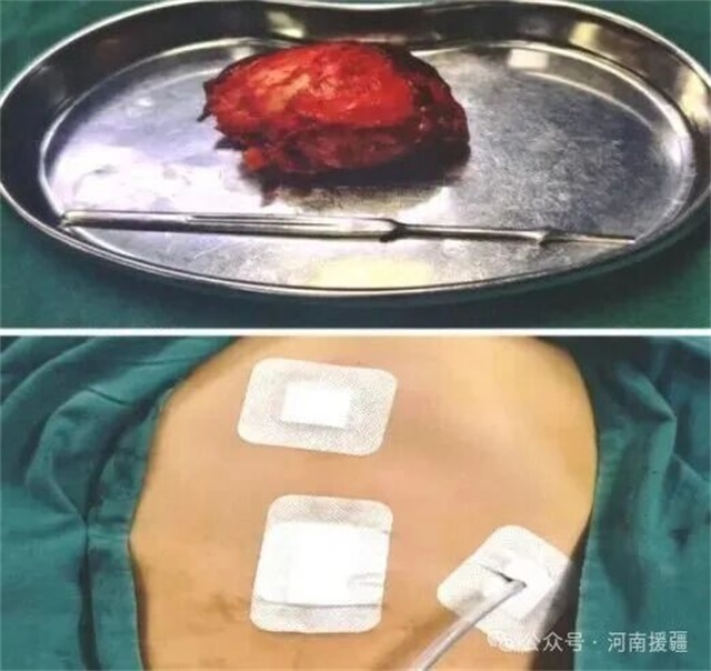 1764116623330101.jpg 微信图片_2025-11-26_081545_089.jpg