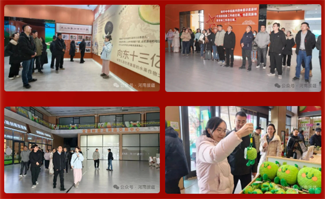 1764376642126753.png 3.png