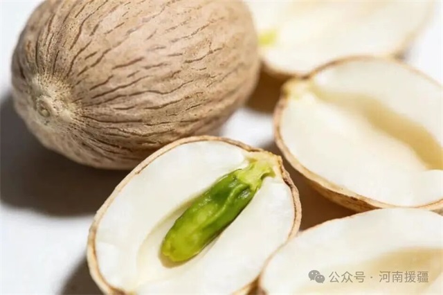 1773966955571010.jpg 微信图片_2026-03-20_082919_148.jpg