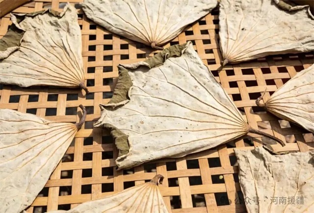 1773966968604123.jpg 微信图片_2026-03-20_082925_110.jpg